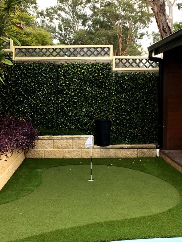 Backyard putting green with 1 hole